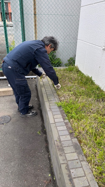 除草作業🌱